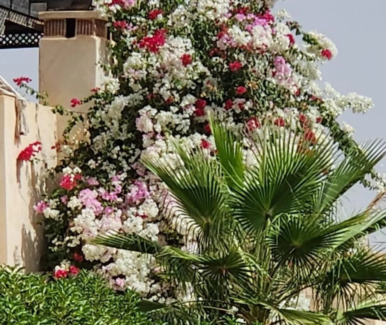 La Rose Des Sables Villa Marrakesh Morocco