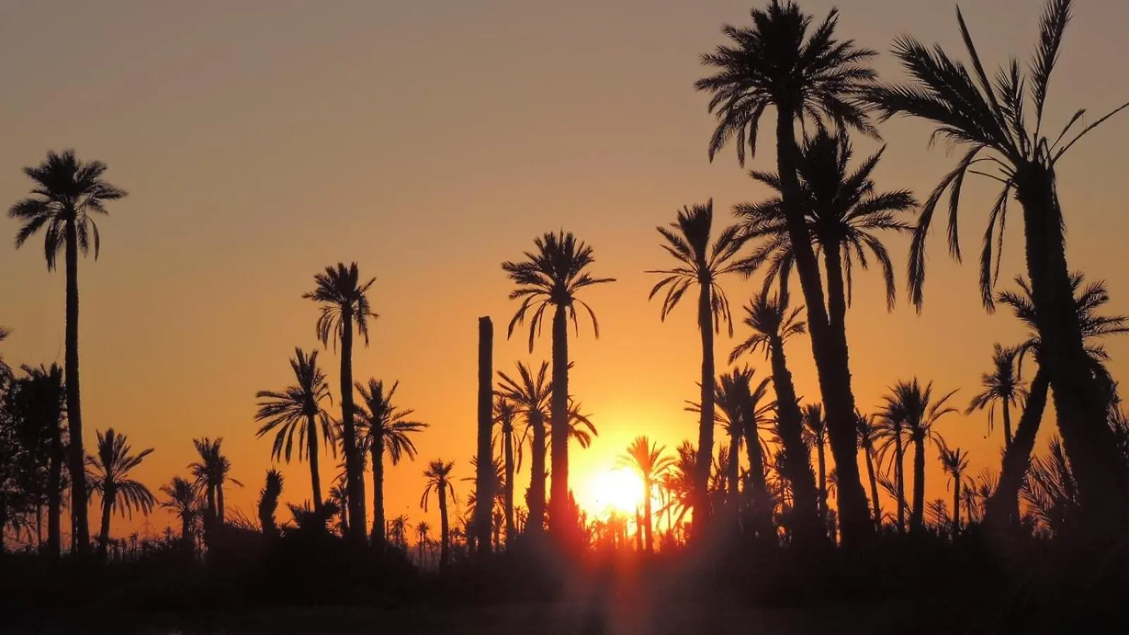 La Rose Des Sables location
